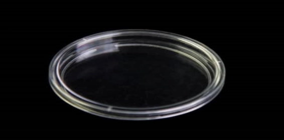 پلیت(Petri dish ) استریل از جنس پلی استایرن با قطر60 میایمتری